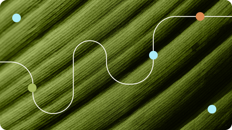 Lines and dots illustrating hormone fluctuations.